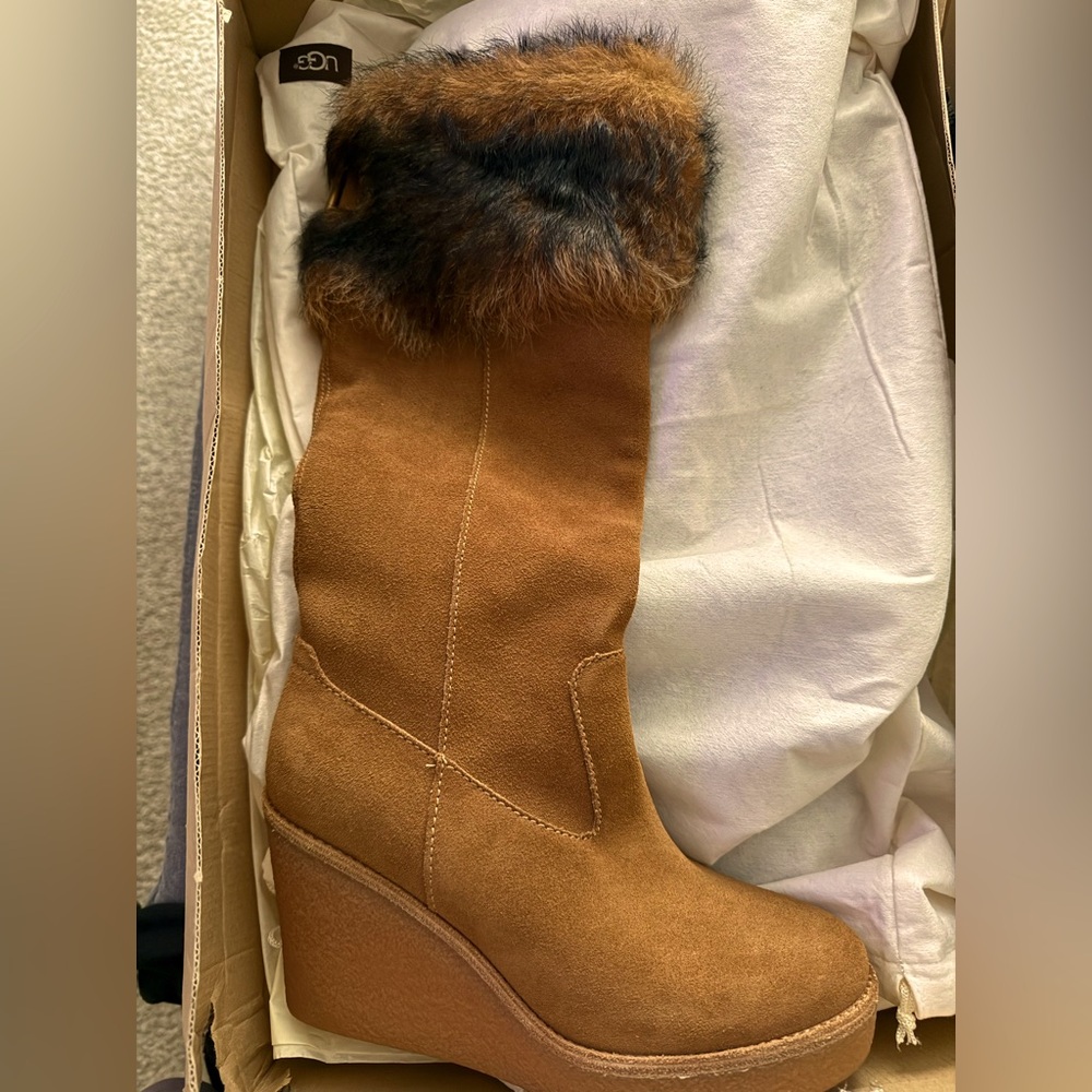 Ugg